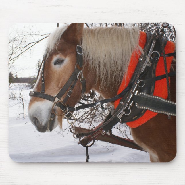 Winter-Pferde Mousepad (Vorne)