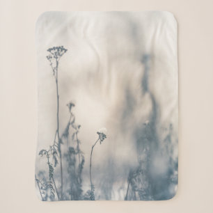 Winter Pflanze Naturerlebnis Foto Sherpadecke