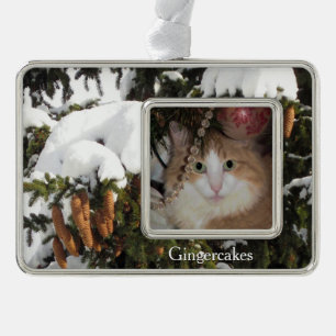 Winter Picture and Custom Foto Weihnachtsschmuck Rahmen-Ornament Silber