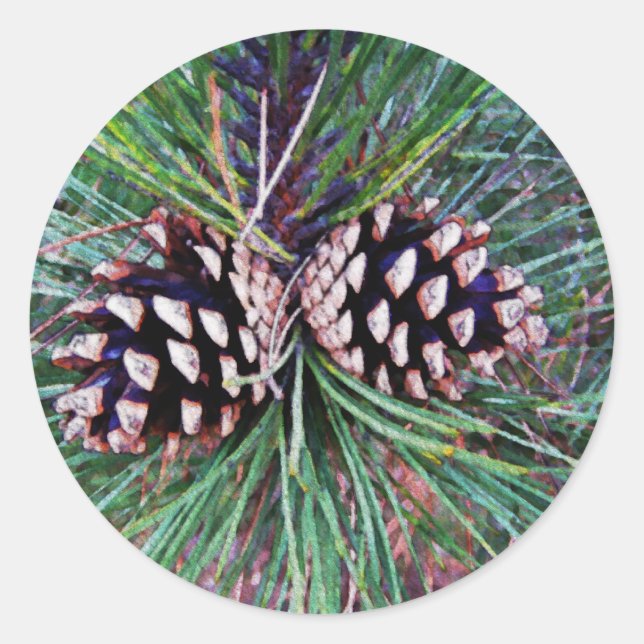 Winter Pine Come Runder Aufkleber (Vorderseite)