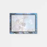 Winter Pine Cones unter einem Sternenhimmel