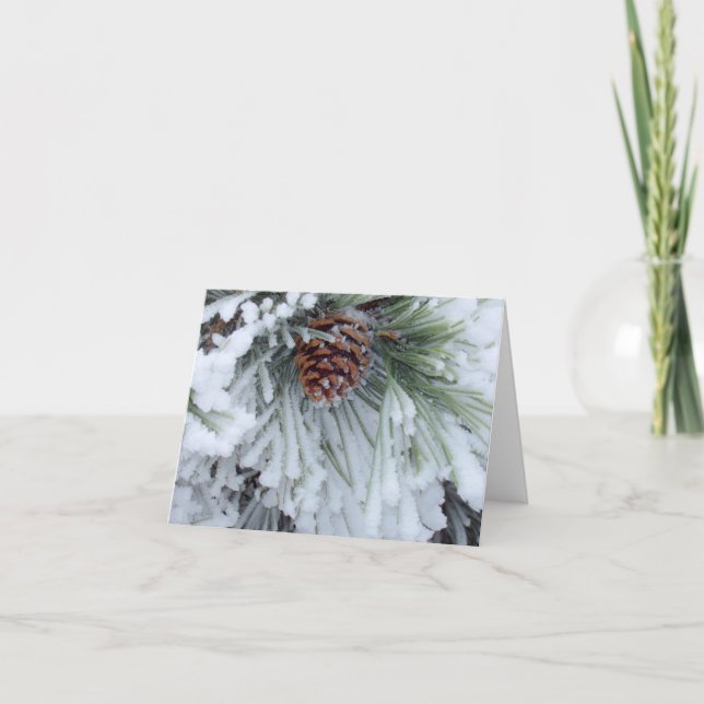 Winter Pinecone Karte (Vorderseite)