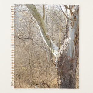 Winter Planer