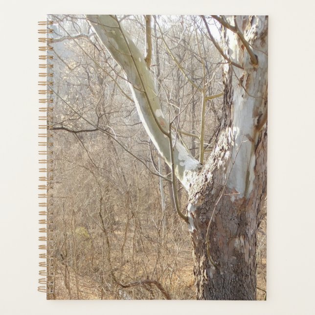 Winter Planer (Vorderseite)