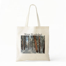 Winter Ponderosa