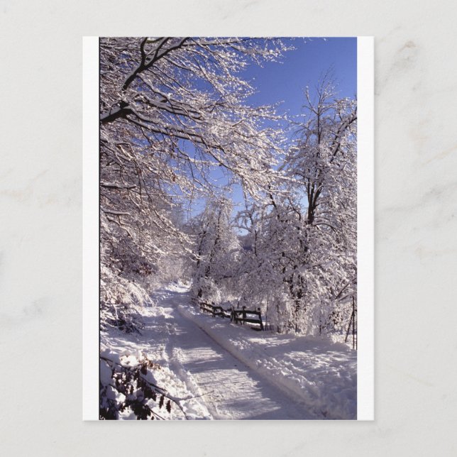 Winter Postkarte (Vorderseite)