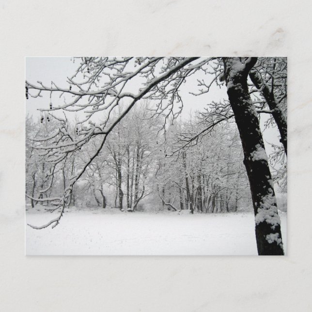 Winter Postkarte (Vorderseite)