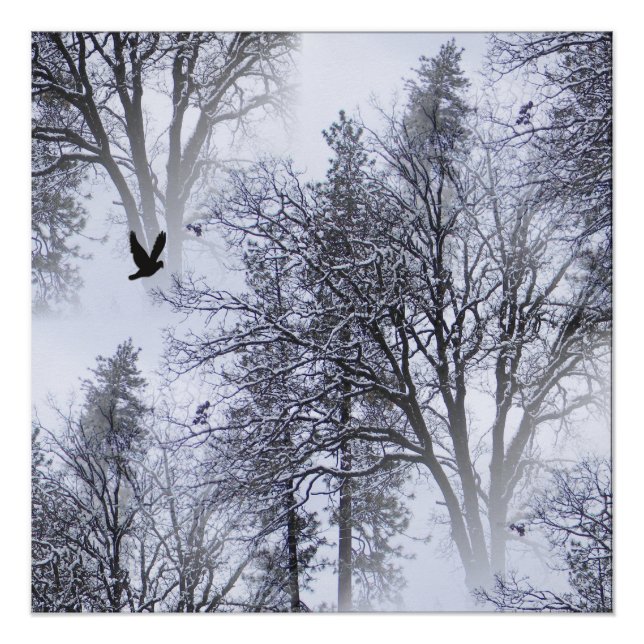 Winter Raven... Poster (Vorderseite)