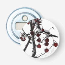 Winter Red Berries