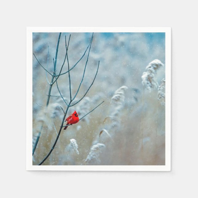 Winter Red Kardinal Snow Foto Serviette (Vorderseite)