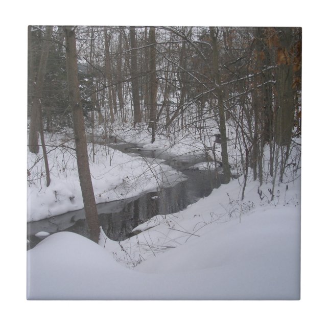 "Winter Ribbon" Fliese (Vorderseite)