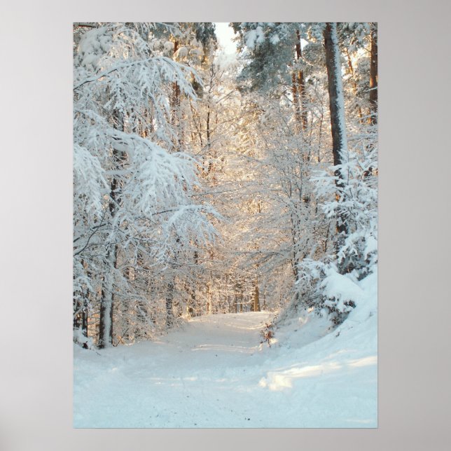 Winter Road Poster (Vorne)