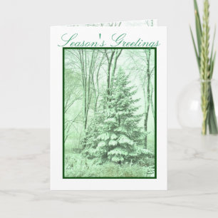 WINTER ROBES ~ Green Feiertagskarte