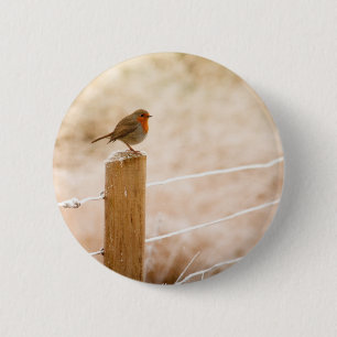 Winter Robin RedBrust Button