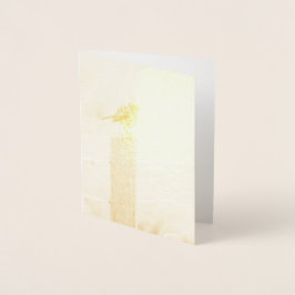 Winter Robin RedBrust Folienkarte