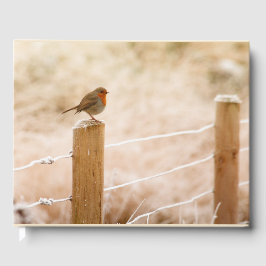 Winter Robin RedBrust Gästebuch