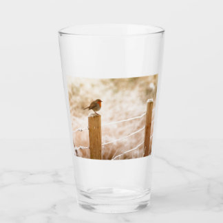 Winter Robin RedBrust Glas