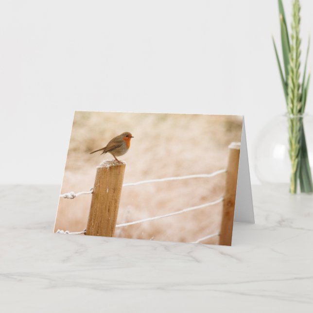 Winter Robin RedBrust Karte (Vorderseite)
