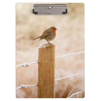 Winter Robin RedBrust Klemmbrett