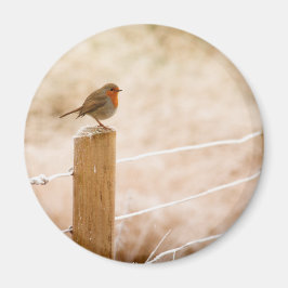 Winter Robin RedBrust Magnet