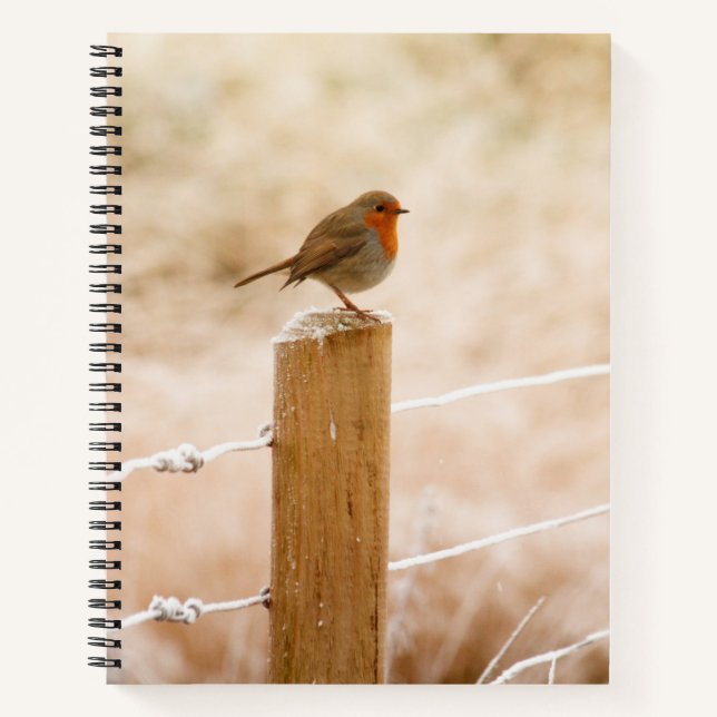 Winter Robin RedBrust Notizbuch (Vorderseite)