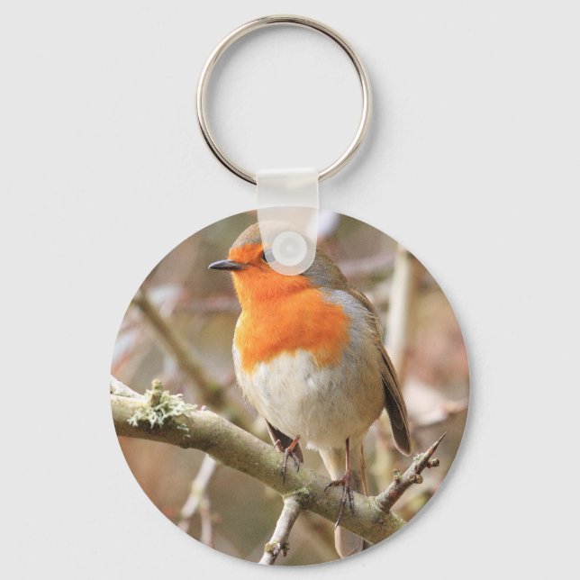Winter Robin RedBrust Schlüsselanhänger (Vorderseite)