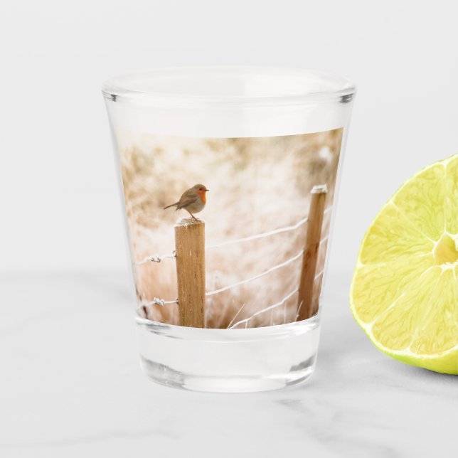 Winter Robin RedBrust Schnapsglas (Vorderseite)