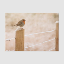 Winter Robin RedBrust Seidenpapier