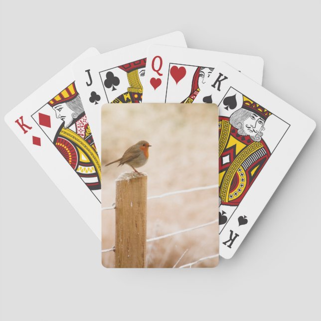 Winter Robin RedBrust Spielkarten (Rückseite)