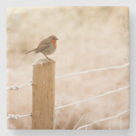 Winter Robin RedBrust Steinuntersetzer