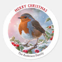 Winter Robin RedBrustfest Frohe Weihnachten