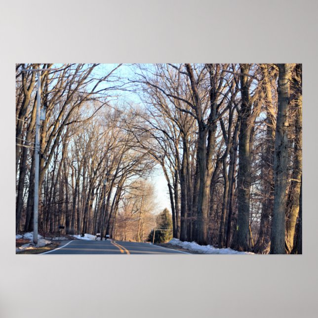 Winter Rows of Trees Poster (Vorne)