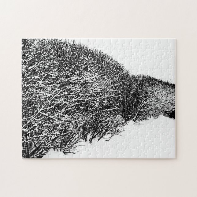 Winter’s Hedge (Horizontal)
