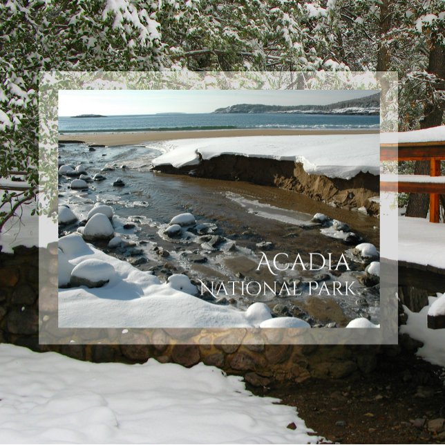 Winter, Sandstrand, Acadia Nationalpark, ME Postkarte (Von Creator hochgeladen)
