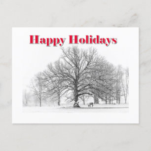 Winter Scene Holiday Card White Bow (Postcard) Feiertagspostkarte