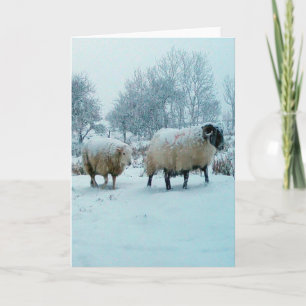 Winter Schafe in Schnee Szene Anpassbar Karte