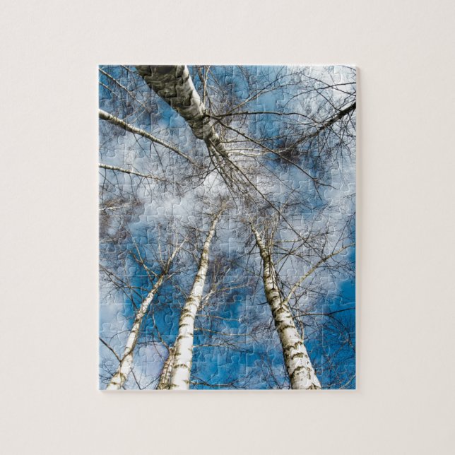 Winter-Schnee-Birken-Baum-Natur-blaue Himmel (Vertikal)