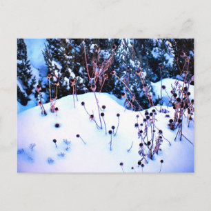 Winter-Schnee-Blumenköpfe-Bäume-Natur Postkarte