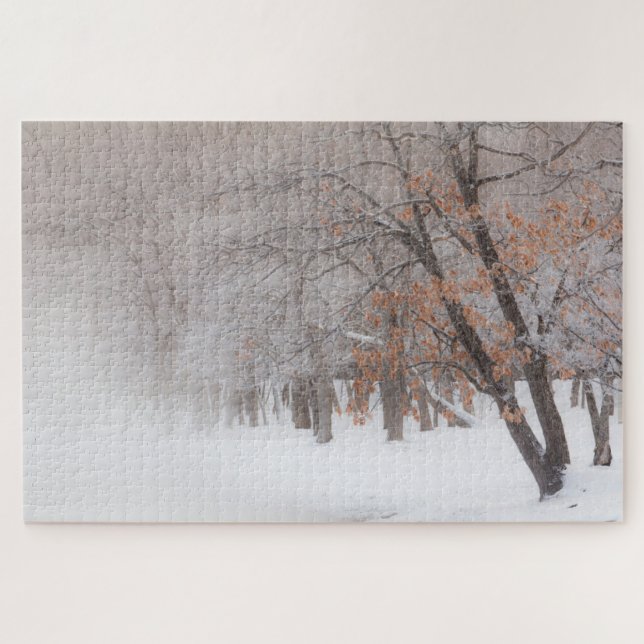 Winter Schnee | Lake Kussharo (Horizontal)