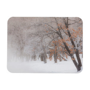 Winter-Schnee   Lake Kussharo Magnet