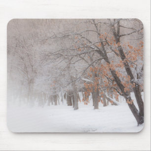 Winter-Schnee Lake Kussharo Mousepad
