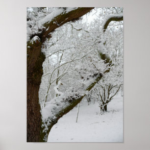 Winter-Schnee-Szenen-Plakat-Druck Poster