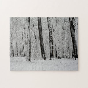 Winter-Schneebäume - -