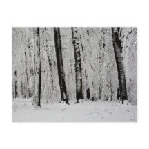 Winter-Schneebäume - -