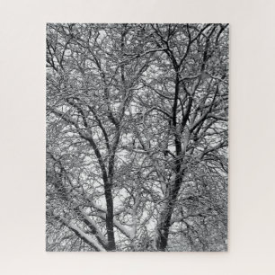 Winter-Schneebaumzweig-Fotografie