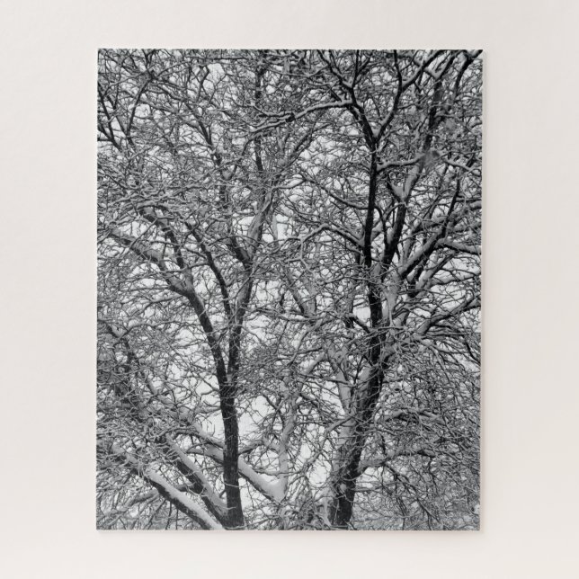 Winter-Schneebaumzweig-Fotografie (Vertikal)