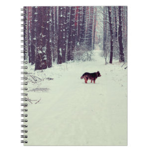 Winter schneebedeckter Kiefernwald, Hundeschlitten Notizblock