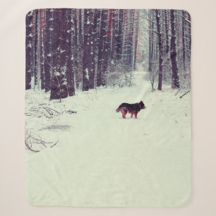 Winter schneebedeckter Kiefernwald, Hundeschlitten Sherpadecke