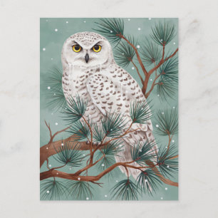 Winter-Schneeeule in Kiefernbaum-Kunst Postkarte