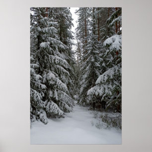 Winter-Schneevereiste-Immergrüner-Wald-Anpassung Poster